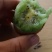 猕猴桃，大量上市，一手货源。