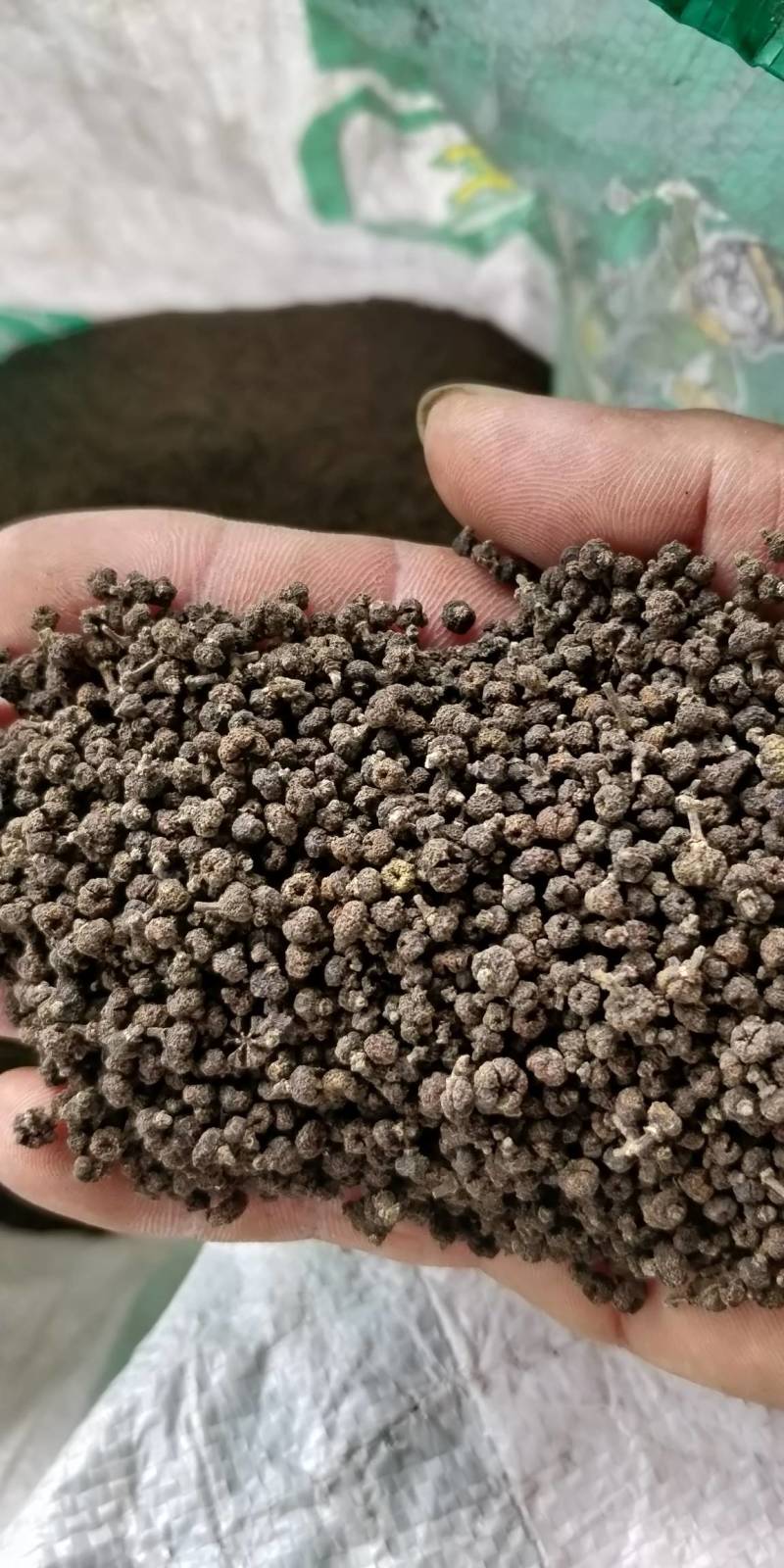 产地批发广西中花吴茱萸小颗粒黑货便宜货，干净无霉味。