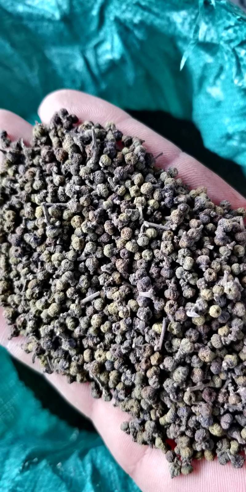 产地批发广西中花吴茱萸小颗粒黑货便宜货，干净无霉味。