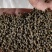 产地批发广西中花吴茱萸小颗粒黑货便宜货，干净无霉味。