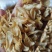 百合药食两用无硫大片口感软糯一公斤起发货