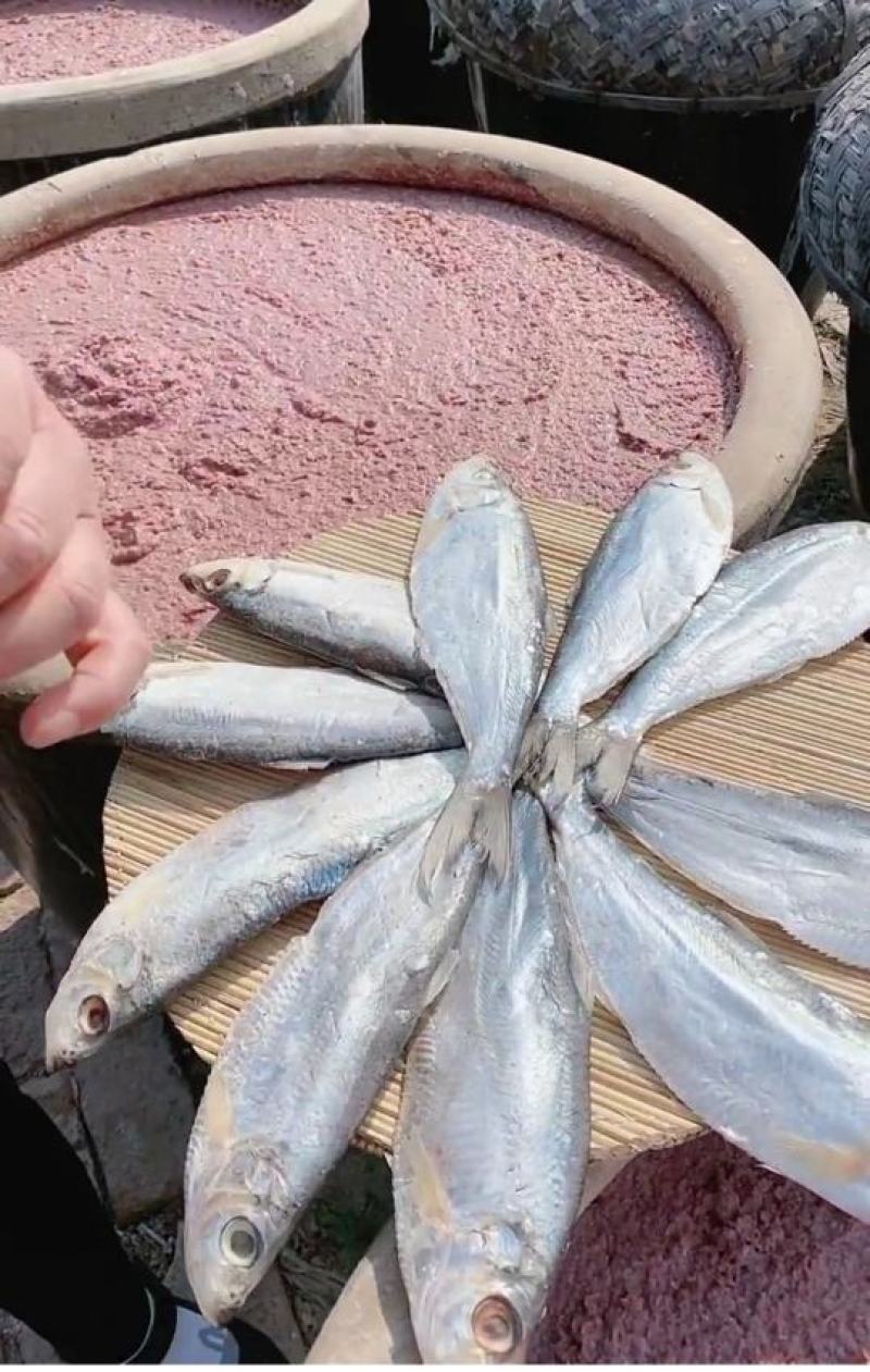 咸鱼白鳞鱼咸鱼咸香鱼清蒸鱼腌制海鱼海鲜批发