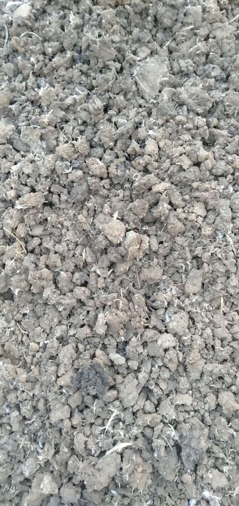 鸡粪晾晒纯干鸡粪有机质含量高后劲大