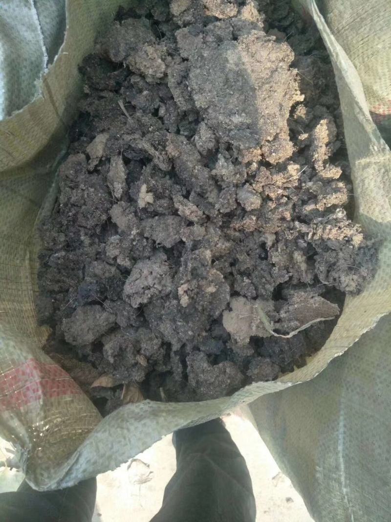 鸡粪晾晒纯干鸡粪有机质含量高后劲大