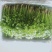 【精品香菜】质量好，价格优惠
