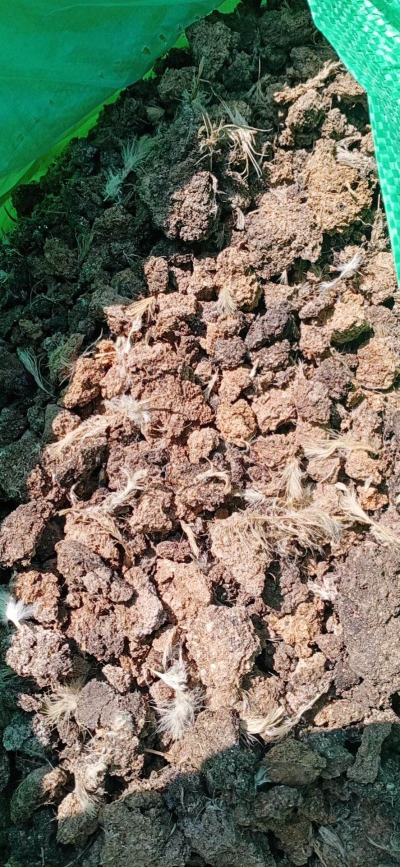 有机发酵羊粪兰花蔬菜羊粪有机肥蓝莓樱桃纯羊粪辽宁樱桃草莓