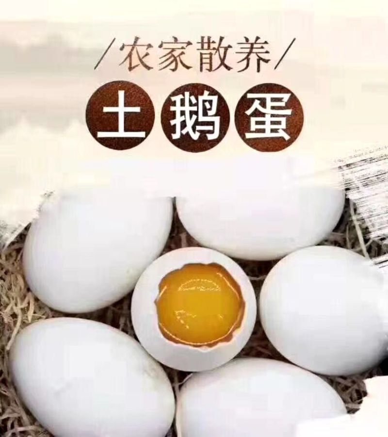 《山东散装大鹅蛋》个头大、质量好、味道香、营养丰富