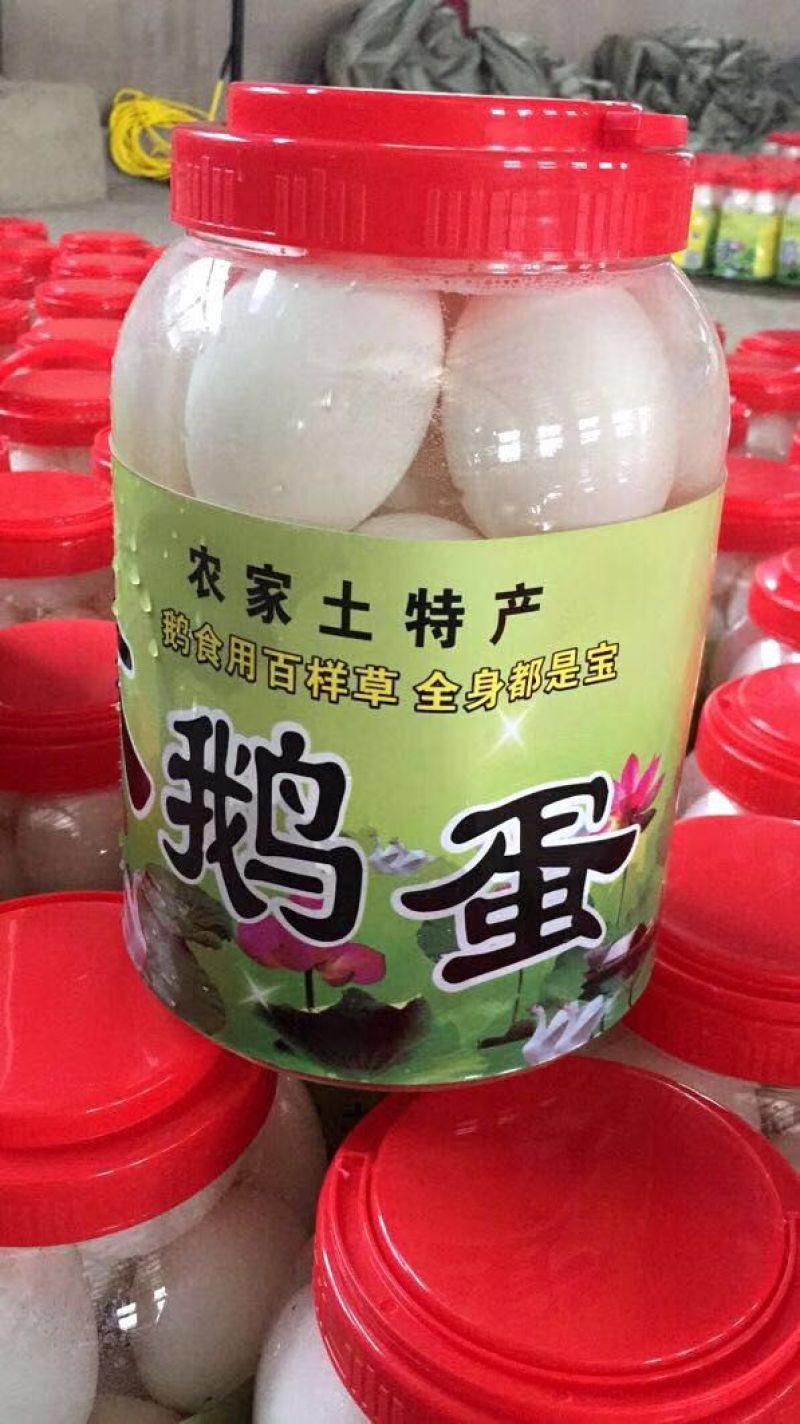《山东散装大鹅蛋》个头大、质量好、味道香、营养丰富