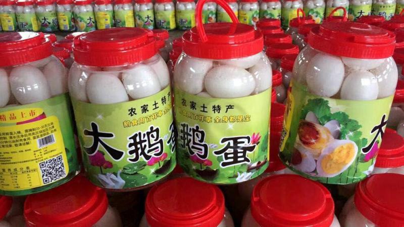《山东散装大鹅蛋》个头大、质量好、味道香、营养丰富