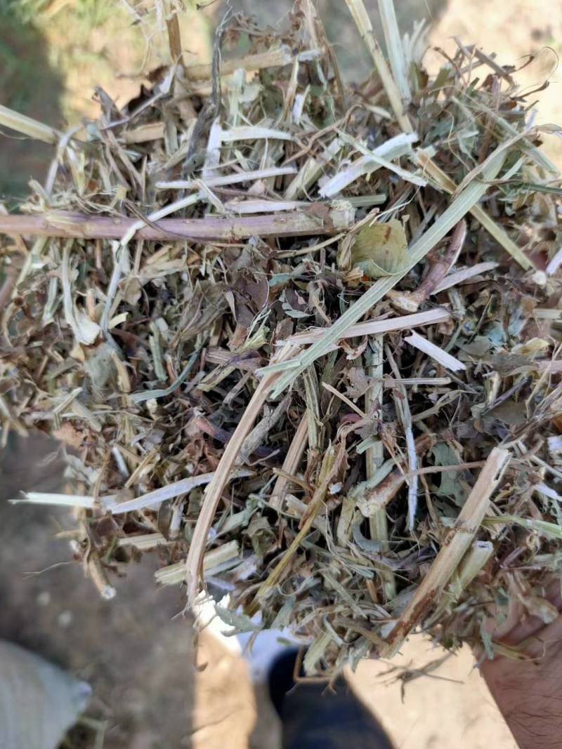 草粉河南质量保证，价格便宜，适合各种食草动物