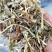 草粉河南质量保证，价格便宜，适合各种食草动物