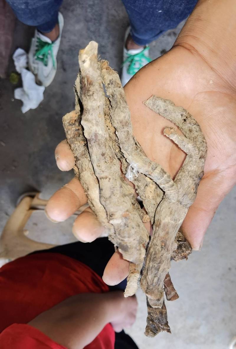 石苍蒲吗野生货不多。不包邮