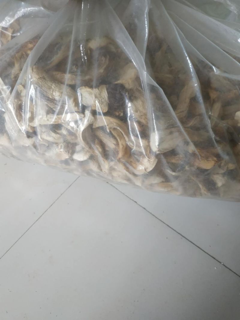 蘑菇，干品蘑菇，蘑菇干，赤松茸，次菇，一件代发，基地直供