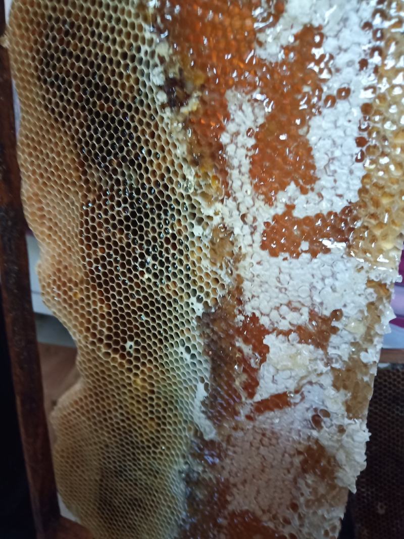 农家土蜂蜜、野生土蜂蜜