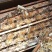 农家土蜂蜜、野生土蜂蜜