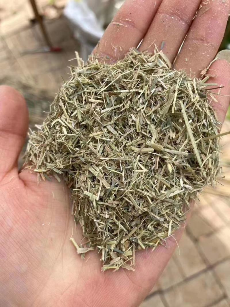 无抗养殖天然艾叶渣添加剂饲料畜牧养殖