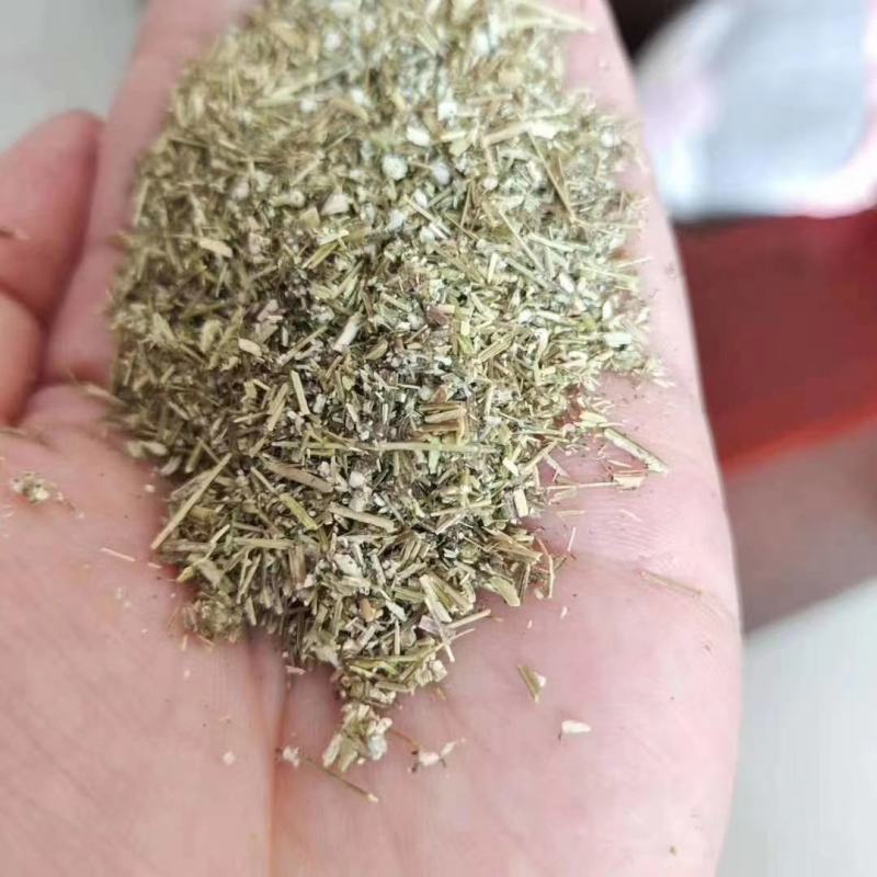 无抗养殖天然艾叶渣添加剂饲料畜牧养殖