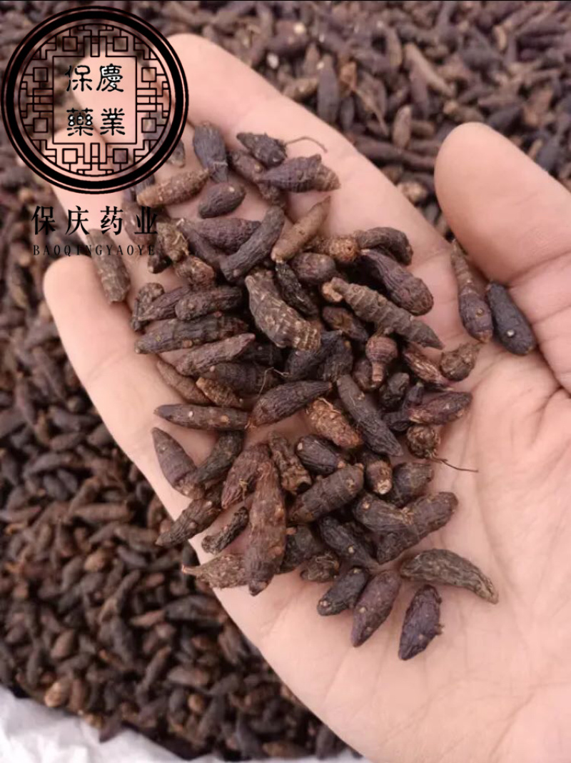 香附香附个香附片制香附片醋香附保庆药业批发香附子