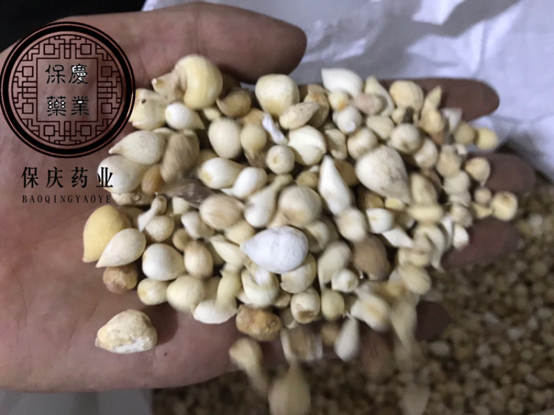 光慈姑山慈菇光慈菇白茨菇毛慈菇光茨菇冰球子