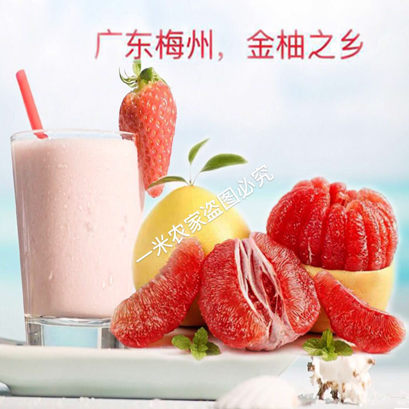 广东梅州蜜柚三红柚，一件代发包邮代办
