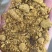 玉米蛋白饲料玉米油饼河北供应厂家现货