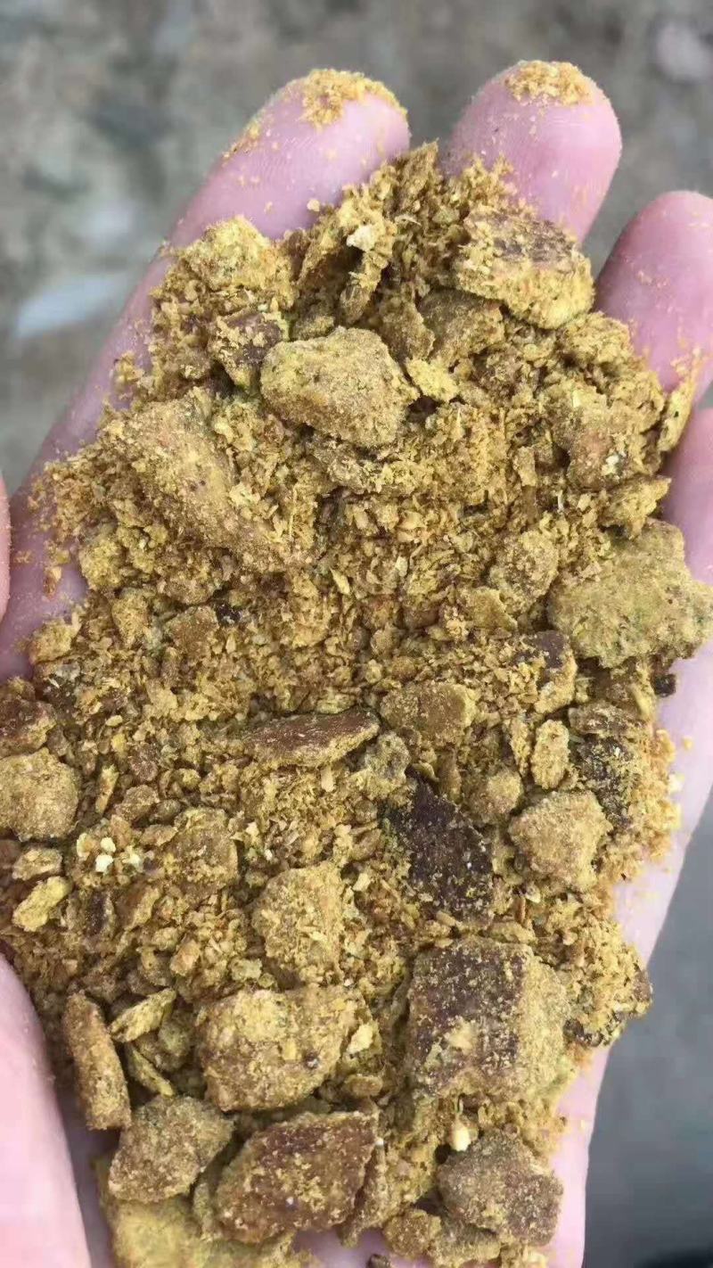 玉米蛋白饲料玉米油饼河北供应厂家现货