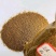 豆渣供应原料植物性原料水产和畜禽动物喷浆豆渣高品质蛋白