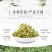 金银花红银花盆栽地栽南北方庭院户外可食用
