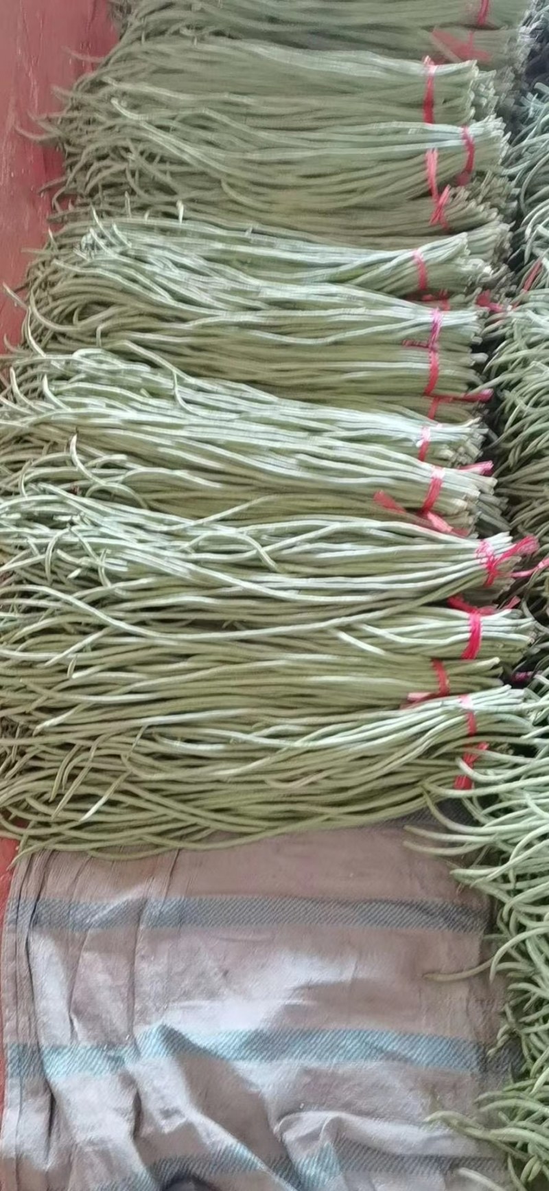 长豆角70厘米以上，专共市场，加工厂，超市。代收，代发