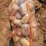 榆林纯沙地黄心V7土豆大量供应全国，薯型好，颜色亮，