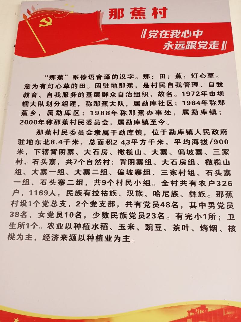勐库那蕉藤条生态普洱茶