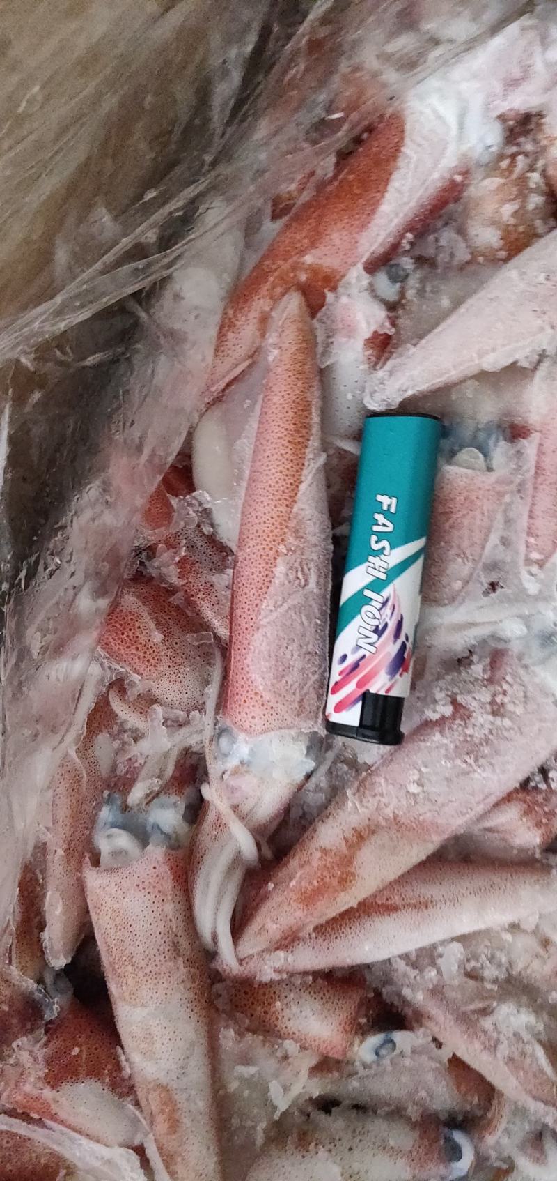 鱿鱼北部湾灯光鱿活冻的