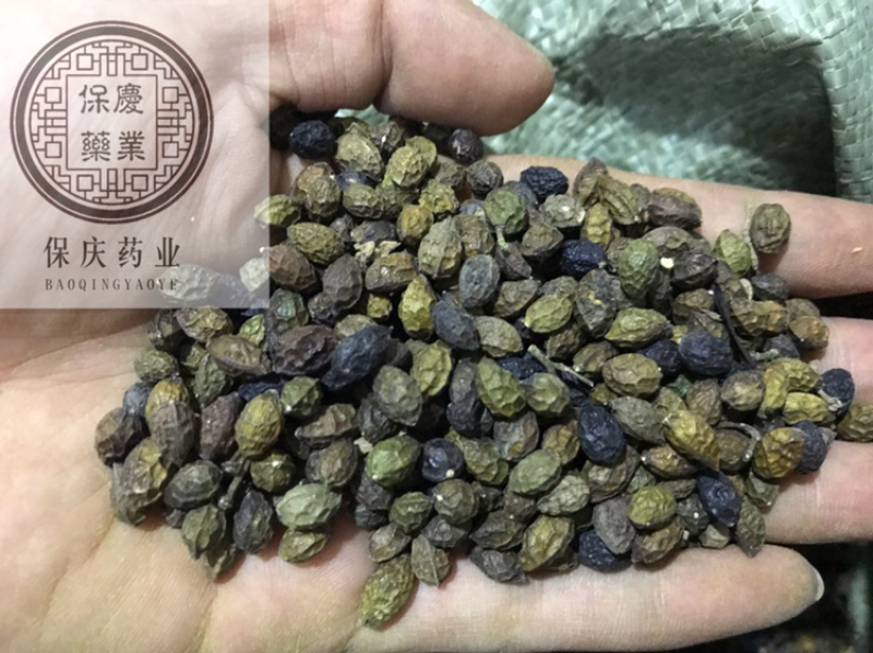鸦胆子鸦蛋子鸭蛋子保庆药业批发鸦胆子实物拍摄！