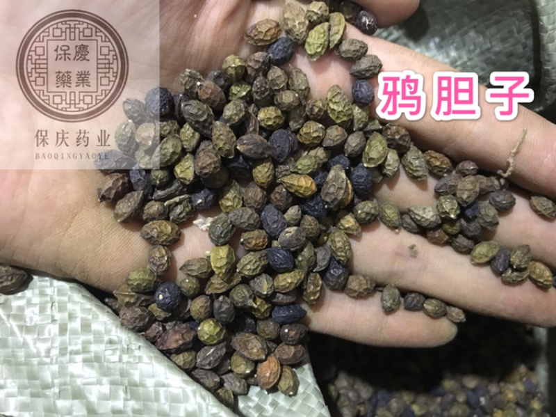 鸦胆子鸦蛋子鸭蛋子保庆药业批发鸦胆子实物拍摄！