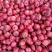 歪把红产地直发常年供货量大从优欢迎订购