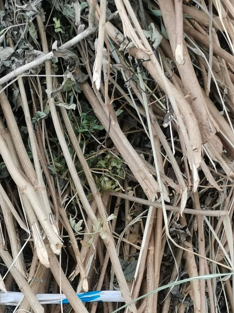 黄荆枝干货有需要的联系我