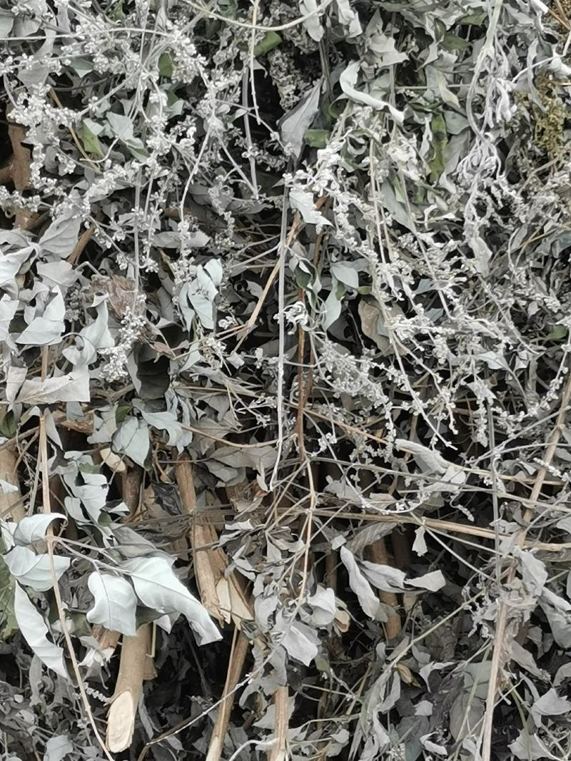 黄荆枝干货有需要的联系我