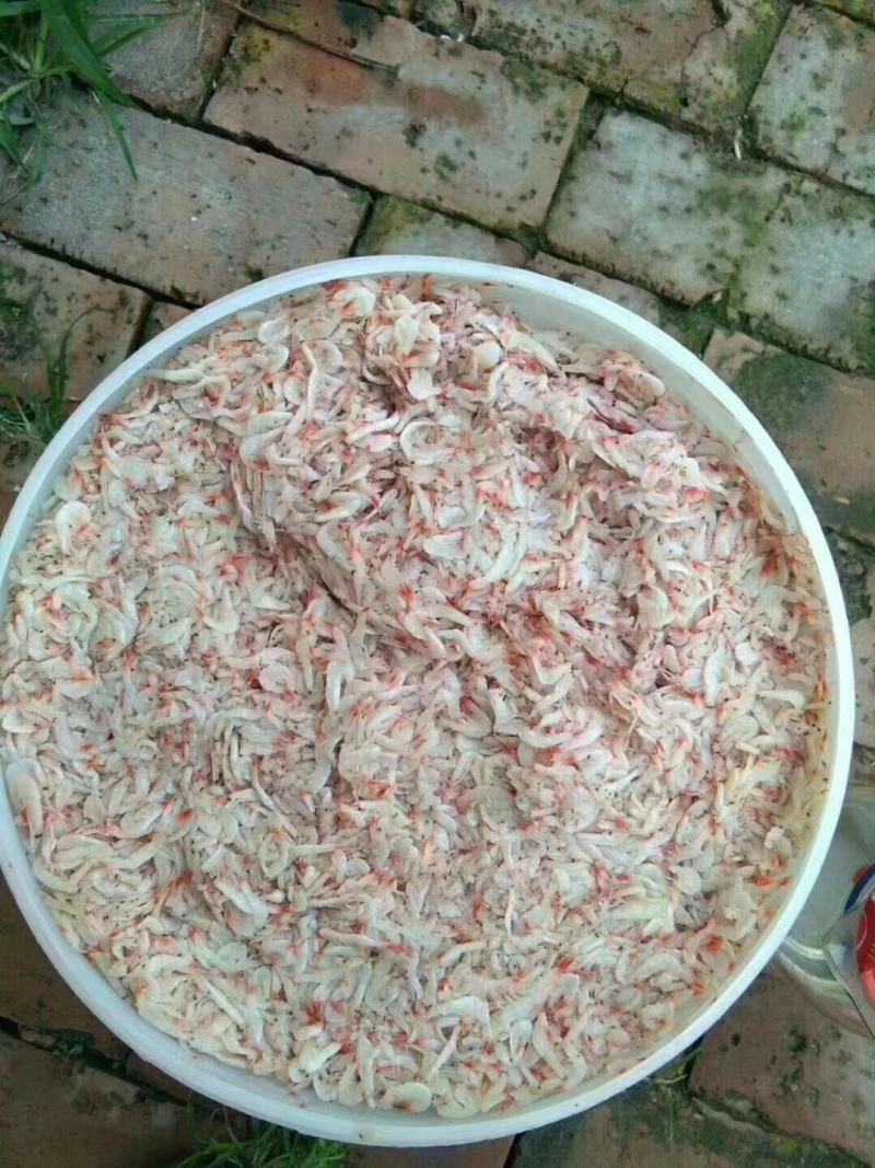 鲜虾皮酱，渤海湾鲜虾皮酱，自己渔船，一首货源，大量有货
