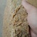 豆饼，植物性蛋白含量高，价格实惠，货物优美！