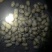 冷库荷兰十五土豆大量销售全国发货，价格不高，一手货源