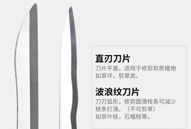 花剪园艺剪刀园林工具绿化修枝剪树枝大绿篱剪强力修草莓