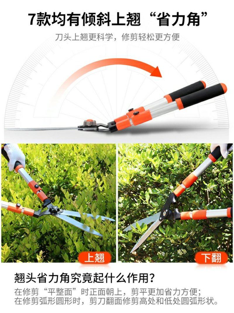 花剪园艺剪刀园林工具绿化修枝剪树枝大绿篱剪强力修草莓
