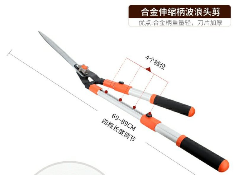 花剪园艺剪刀园林工具绿化修枝剪树枝大绿篱剪强力修草莓