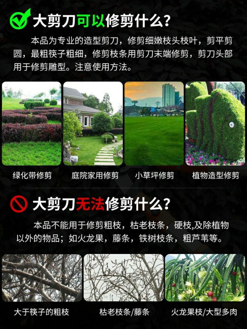 花剪园艺剪刀园林工具绿化修枝剪树枝大绿篱剪强力修草莓