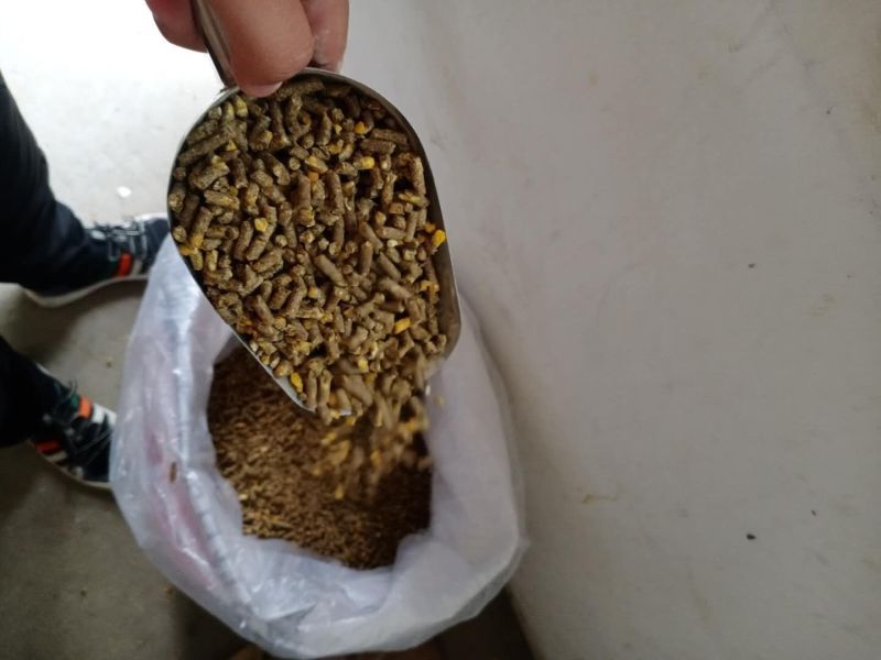 育肥羊全程配合料，育肥效果明显，价格优惠，质优价廉！