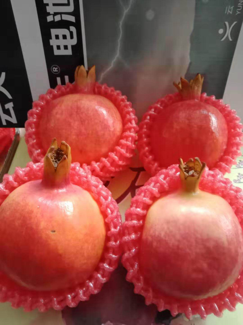 蒙自石榴观颜，大量出售，欢迎各位老板来谈，物美价廉！