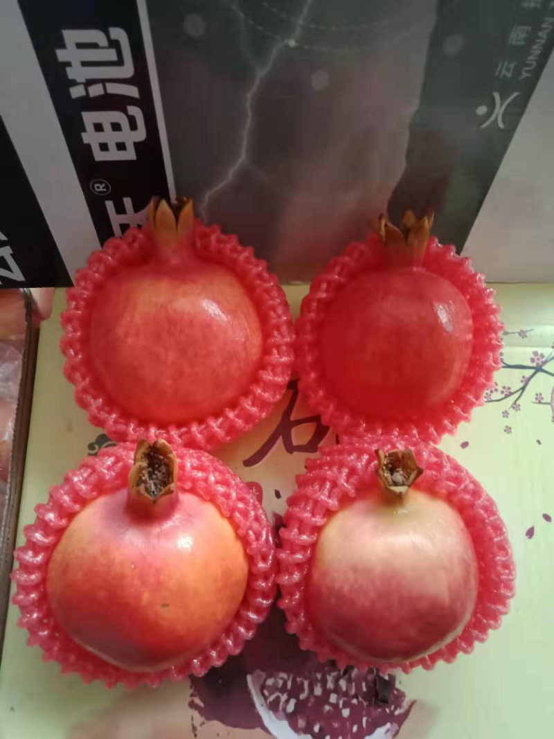蒙自石榴观颜，大量出售，欢迎各位老板来谈，物美价廉！