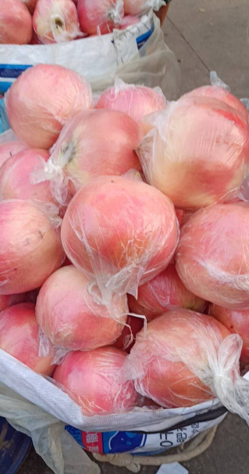 蒙自石榴观颜，大量出售，欢迎各位老板来谈，物美价廉！