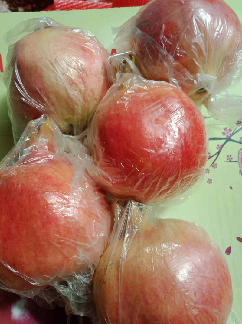蒙自石榴观颜，大量出售，欢迎各位老板来谈，物美价廉！