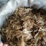 当归全归片中节片中药材甘肃批发零售各种规格中药材